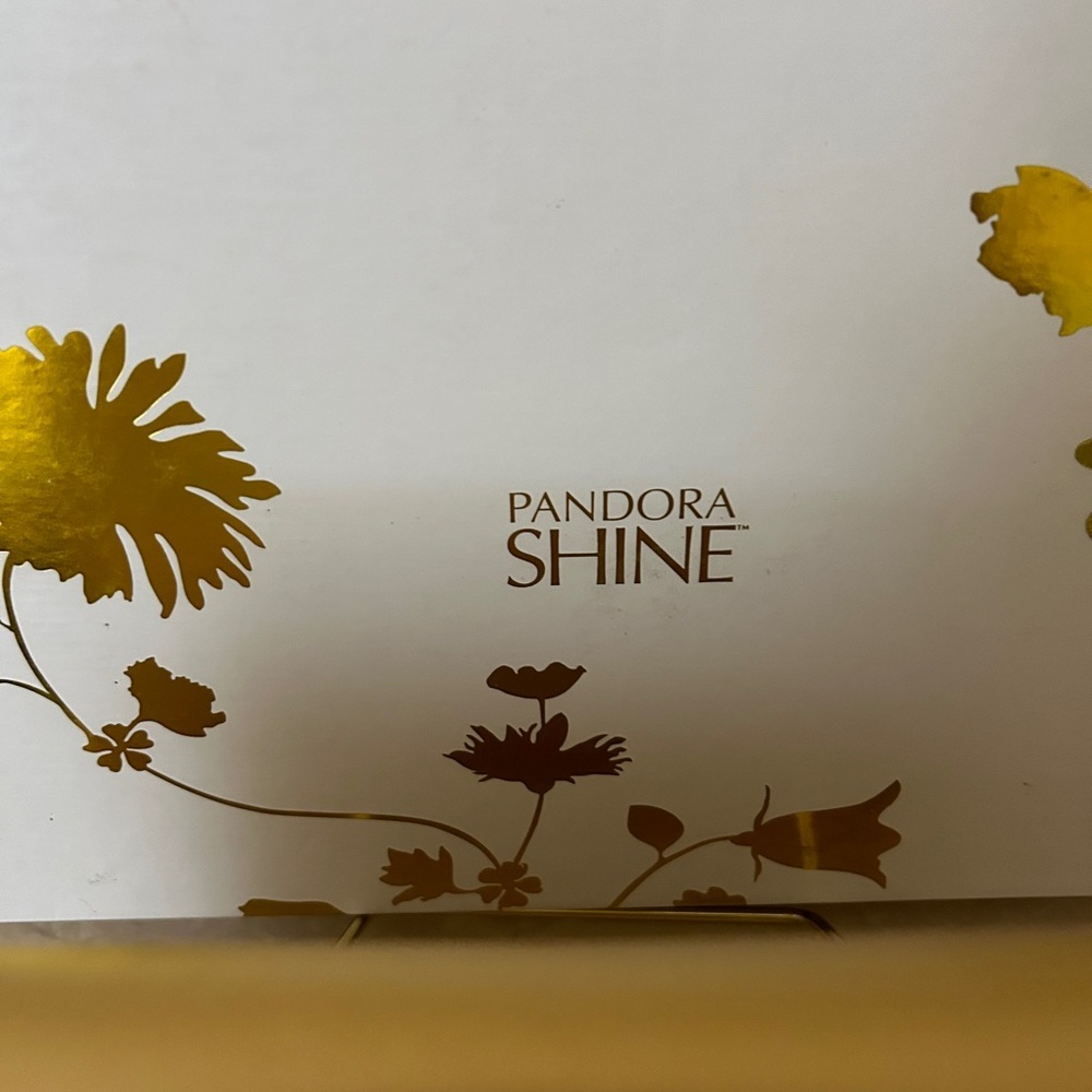 Pandora Shine Large Clutch - Picture 4 of 6